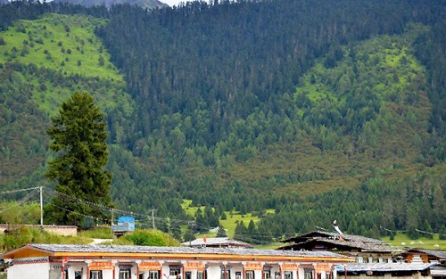 Tashigang village is surrounded by mountains and forest, Aug 7, 2015. (Photo by Chen Bei/chinadaily.com.cn)