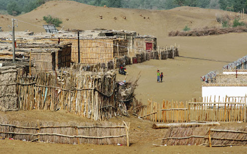 Local people use the wood of the desert poplar to build houses in Daliyabuyi, Hotan prefecture, the Xinjiang Uygur autonomous region. It's prohibitively expensive to transport building materials to the desert township because it is not connected to the outside world by road. Photos by Wang Zhuangfei / China Daily