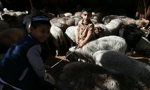 Kids play in a temporary sheep pen on Thursday. Muslims in Xinjiang celebrated the Eid al-Adha feast, an important Muslim holiday, on Thursday. Photo: Cui Meng/GT