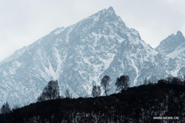 Photo taken on Oct 30,2015, shows the scenery of Qunjia National Forest Park in Northwest China's Qinghai province. As winter falls, snow cloaked the forest park. (Photo/Xinhua)