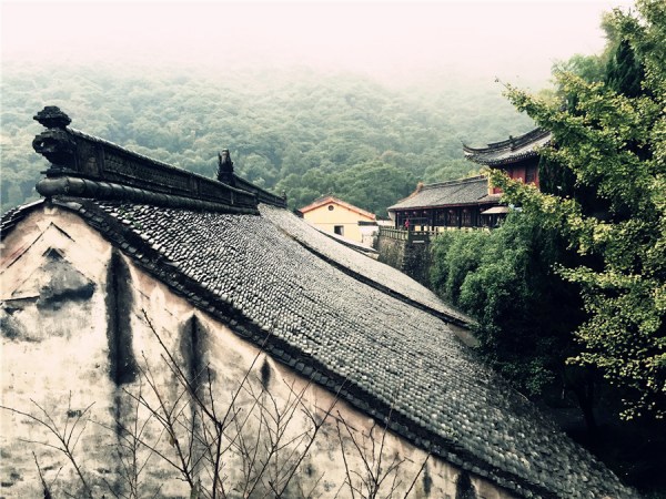 Temples amid thick woods in Tiantong Forest Park. (Photo: chinadaily.com.cn/Ruan Fan)