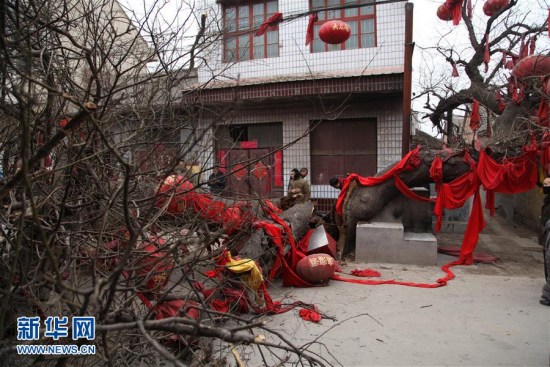 1,000-year-old tree felled after it was struck by a truck. (Photo/Xinhua)