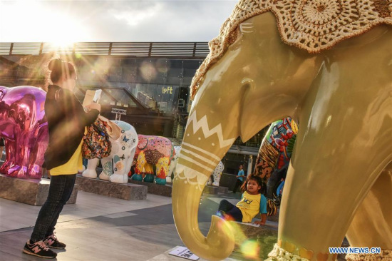 A woman takes photosfor her child during the Elephant Parade Bangkok 2015 open-air exhibition in downtown Bangkok, capital of Thailand, on Dec. 1,2015. Photo: Xinhua/Li Mangmang)