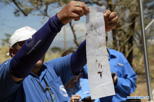 Employees of Costa Rica's Ministry of Health inspect a trap to combat the Aedes aegypti mosquito, carrier of Zika virus, during a day of fumigation to combat the Aedes aegypti mosquito, carrier of Zika virus, in the city of Santa Ana, San Jose Province, Costa Rica, on Feb. 23, 2016. (Photo: Xinhua/Kent Gilbert)