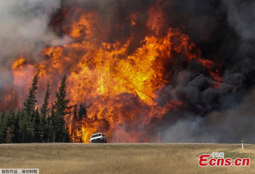 Smoke and flames from the wildfires erupt behind a car on the highway near Fort McMurray, Alberta, Canada, May 7, 2016. (Photo/Agencies)