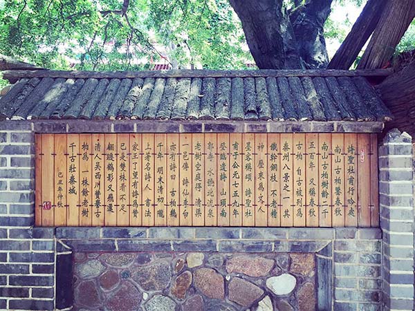 Nanguo Temple in Tianshui city of Gansu province. (Photo by Hu Zhe/chinadaily.com.cn)