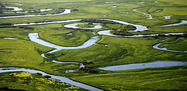 The preserve of Naoli River's wetlands is among the top 10 wetlands in Heilongjiang province.(Photo provided to China Daily)