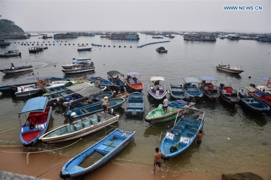 Fishermen move their boats ashore to take shelter from the upcoming Typhoon Nida in Shenzhen, south China's Guangdong Province, Aug. 1, 2016. (Xinhua/Mao Siqian)