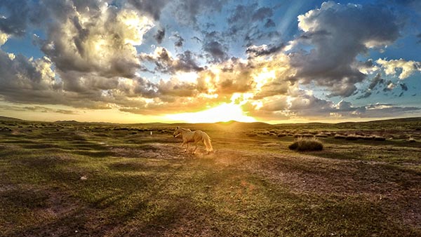 The scenic grassland in Fengning county, Hebei province, is where the festival will be held. (Photo provided to China Daily)