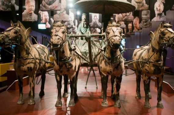 photo taken on March 1 shows the terracotta horses from China on display at the Field Museum in Chicago. (Photo/Xinhua)