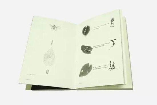 Inside the Book of Bugs. (File photo)