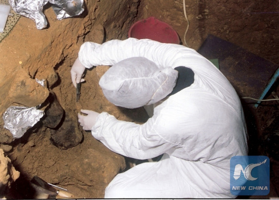 This image shows excavations at the site of El Sidron, Spain. (Credit: El Sidron research team)