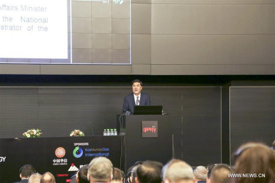 Nur Bekri, vice chairman of China's National Development and Reform Commission and director of China's National Energy Administration, speaks during the opening ceremony of the Ministerial Conference on Energy Cooperation in China - Central and Eastern European Countries (16+1) format, in Bucharest, Romania, on Nov. 8, 2017. (Xinhua/Lin Huifen)