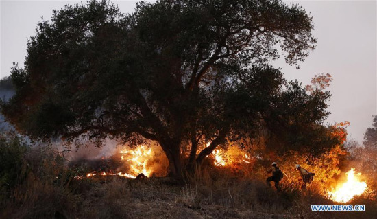 Two firefighters work at a fire spot in Carpinteria, California, the United States, Dec. 11, 2017.  (Xinhua/Li Ying)