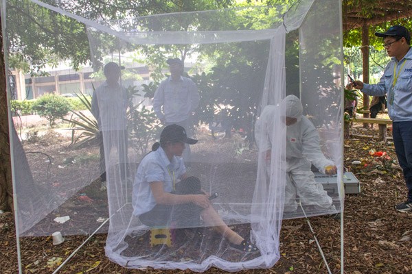 A team conducts experiments on mosquitoes in Guangdong province. (Photo by TAN QINGJU/FOR CHINA DAILY)