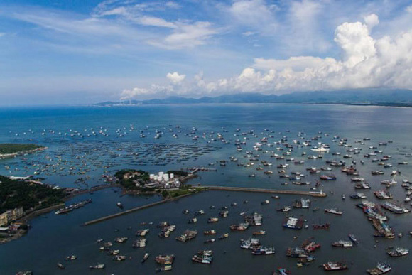 Fishing boats head to the sea from Hailing Island in Yangjiang City, south China's Guangdong Province, August 16, 2017.  (Photo/Xinhua)