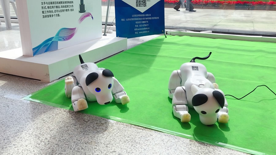 AI-robot integration key topic at China Robot Summit