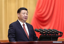Xi stresses coordinated efforts in central, local institutional reform