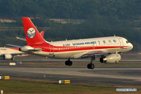 Chinese social media hails pilot for flight's safe landing