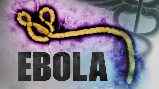 Aussie researcher develops rapid test for Ebola to fight deadly outbreak