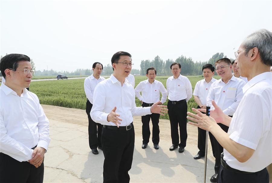 Chinese vice premier calls for high-quality development of Xiongan New Area