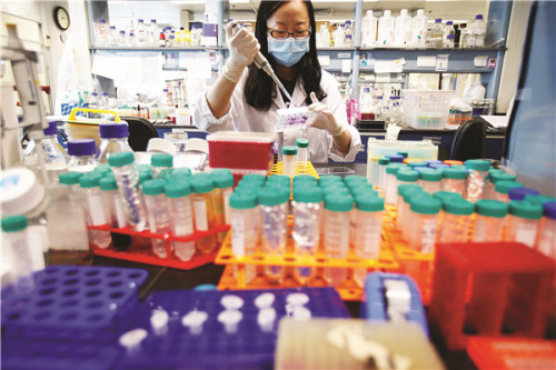 A researcher works at the State Key Laboratory of Digestive Disease at the Chinese University of Hong Kong. The lab, established by the university and the Fourth Military Medical University in Shaanxi province, is the epitome of cross-boundary research collaboration. (Photo/China Daily)