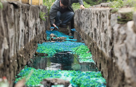 Unidentified empty drug capsules lie in a gutter on Zhengshang road in Zhengzhou, Henan province, on April 21. [Photo / China Daily] 