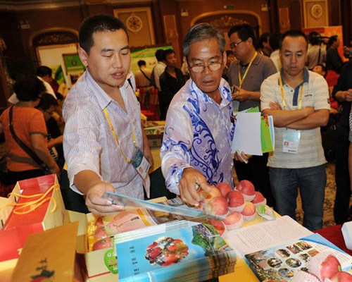 Buyers inspect apples from Shaanxi province at the China-ASEAN expo in Nanning, Guangxi Zhuang autonomous region. [Photo/Provided to China Daily]