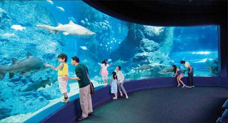 Changfeng Ocean World is a top draw in Shanghai. Provided to China Daily