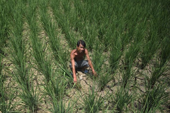 A lingering drought has left about 2.25 million people short of drinking water in the province. [Photo/Xinhua]  