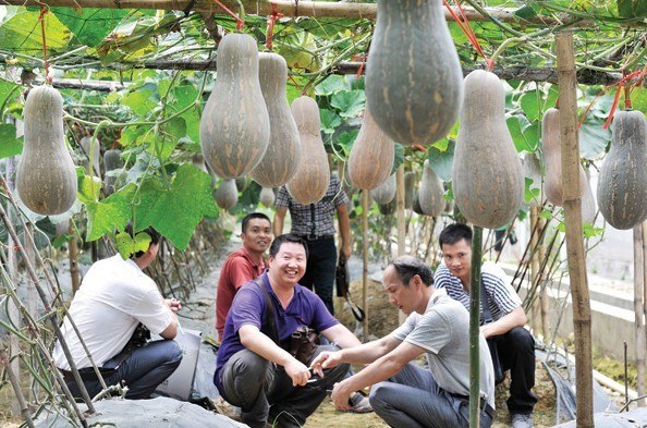 China has fostered nearly 10,000 new varieties of agricultural products in the past 30 years thanks to the nation's seed bank project. China Daily 