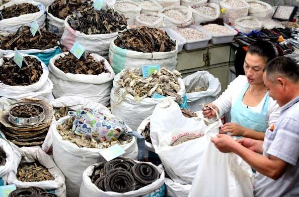 Businessmen select materials for traditional Chinese medicine at a TCM trade center in Bozhou, Anhui province.[Liu Qinli / for China Daily]