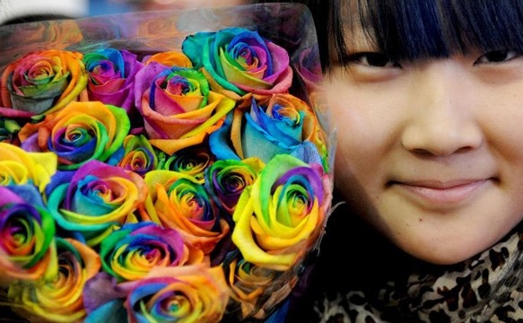 A consumer shows a bouquet of seven-color roses in Shenyang, capital of northeast China's Liaoning Province, Feb. 10, 2014. As the Valentine's Day approaches, various commodities for lovers are welcomed among consumers. [Photo/Xinhua]   