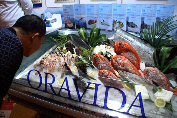 A visitor gazes at seafood products at the 20th China Fisheries and Seafood Expo, which was held from Nov 4 to 6 in Qingdao, East China's Shandong province. (Photo by Li Jianing/for chinadaily.com.cn)