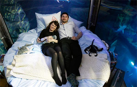 Two winners of a competition on the Airbnb accommodation site pose in a bed in an underwater room installed in the Aquarium of Paris, on April 11. Zhubaijia is the company's counterpart in China.(Provided to China Daily)