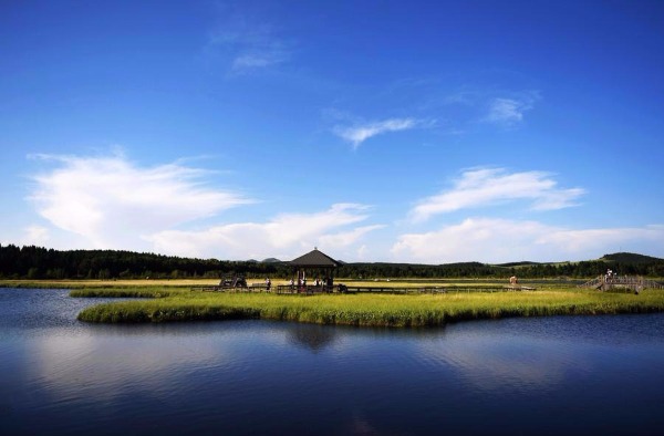 Saihanba National Forest Park, China's largest man-made woodland, in Weichang Manchu and Mongolian autonomous county in Chengde, Hebei province. (Photo/Xinhua)