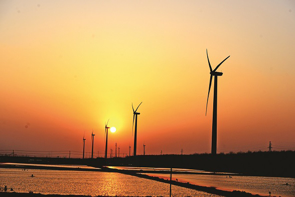 An offshore wind farm generates power near Nantong City, Jiangsu province. (Li Cungen/Xinhua)