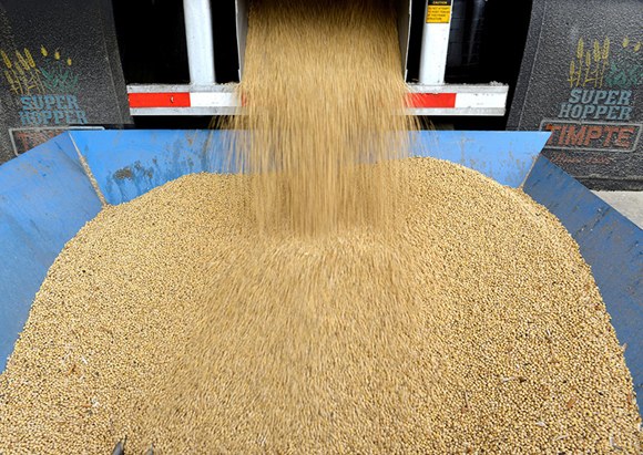 CEO: China not buying soybeans from U.S. but rather Brazil, Canada