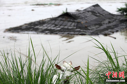 Sustained rain triggered flood in Zhuji, Zhejiang Province, resulting in 88 villages inundated on June 16, 2011.[PHOTO\CFP]