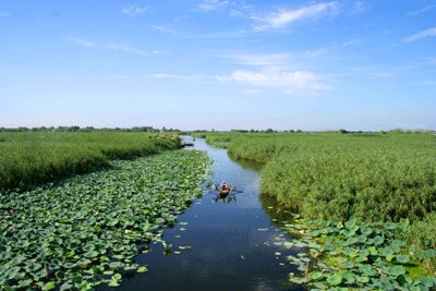 The Baiyangdian, also known as the kidney of the North China, is an inland fresh water lake. (File photo)