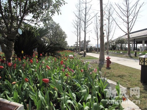 A view of the Songhe Cemetery