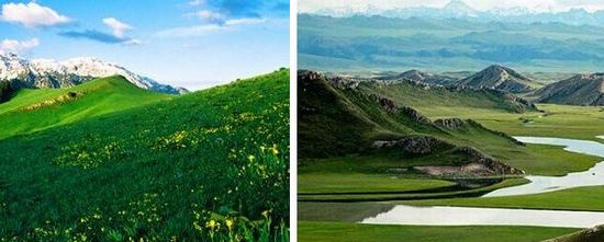 Nalati(L) and Bayanbulak(R) grasslands. 