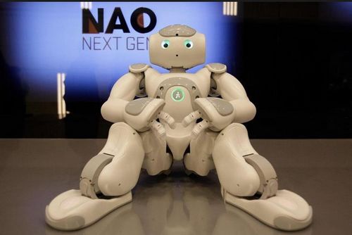 French Nao robot earned a good reputation at the 2010 expo in Shanghai.