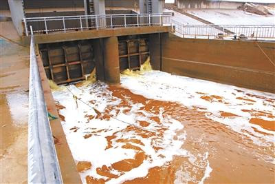 Illegal discharge of industrial effluents by chemical plants in a coastal town in Lianyungang, Jiangsu province, has contributed to the ecological collapse of the citys offshore region. (Photo source: Beijing Youth Daily) 