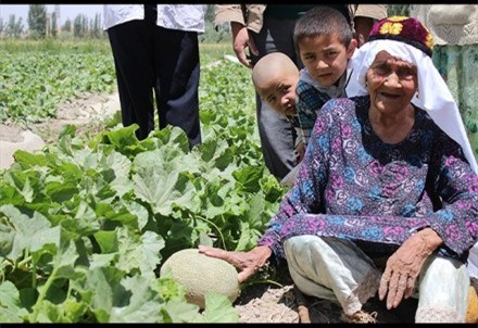 Ali Mihan is at her melon field. 