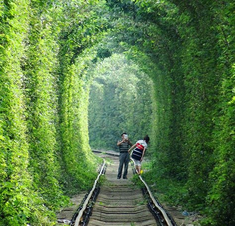 The Nanjing tunnel of love. (Photo: njdaily.cn)