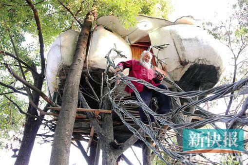 A man aged over 60 has chosen to live in a self-designed tree house in Chen village, Foshan city, South Chinas Guangdong province. (Photo: New Express) 
