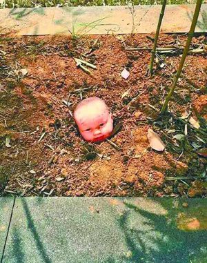 A photo showing the head of a baby is indeed an art work. (Photo/Wuhan Evening News)