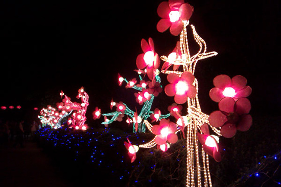 Shanghai International Lantern Festival lasts for 40 days at Luxun park. (Provided to China Daily)