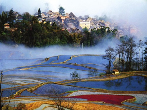 Rice terraces are a natural wonder created by the Hani people. Shen Haibin / For China Daily